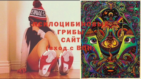 таблы Аркадак