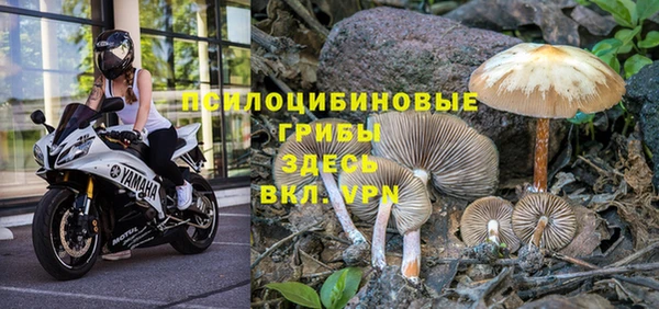 мет Армянск