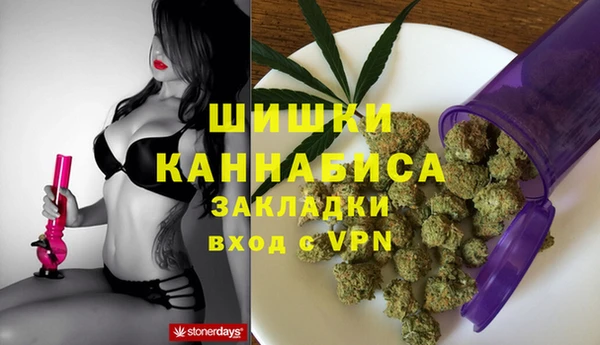 гидра Арсеньев