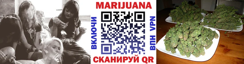 Конопля гибрид  цены   МЕГА tor  Россошь 